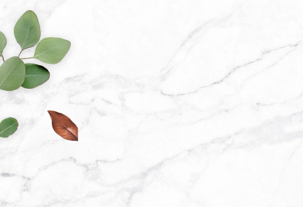 main-home-img-30 (1)